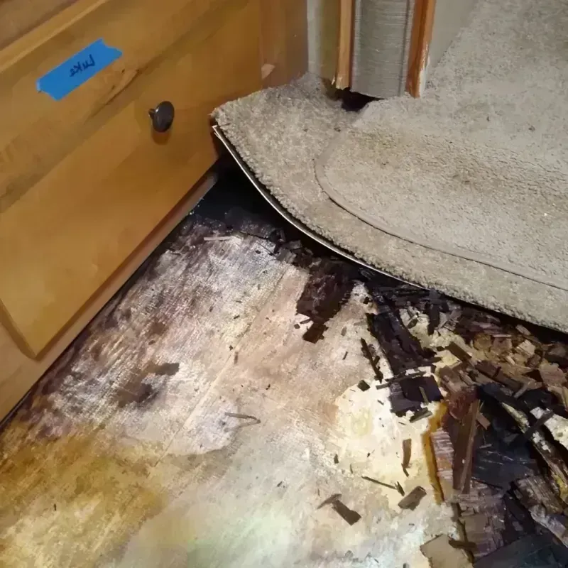 Wood Floor Water Damage in East Saint Louis, IL